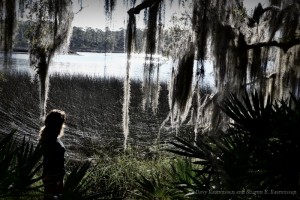 Princess Place Preserve