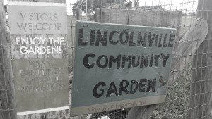 StAugustine-communitygarden