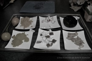 A free sampling at the Dade County Fruit and Spice Park