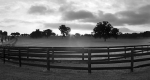 Florida Horse Farms