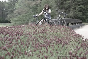 We'd stop and camp for a few days at one of the free national park campgrounds and take our bikes out for backroad excursions
