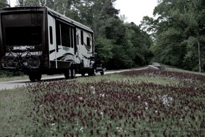 Winding our way along the Natchez Trace from Mississippi to Nashville Tennessee