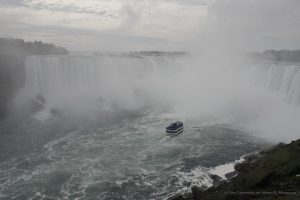 dsc_3541
