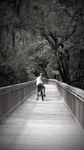 Miles of bike trails and multi purpose paths with boardwalks go between Lithia Springs Park and Fishhawk Preserve in Hillsborough County.