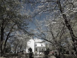 Indian Springs state park RV Review