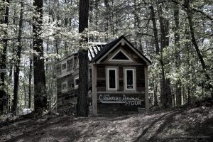 Creative Animal Tiny House in Indian Springs State Park