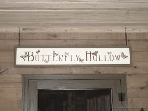 Butterfly Hollow Tennessee