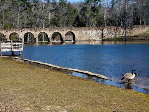 Cumberland Mountain State Park - Crossville Tennessee