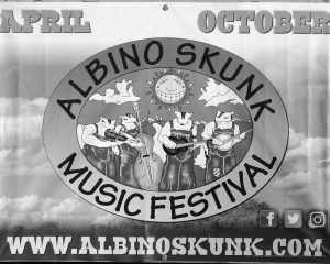 The Magic of the Albino Skunk Music Festival happens every spring and fall