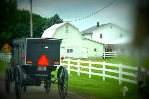 Goshen is Amish Country. 