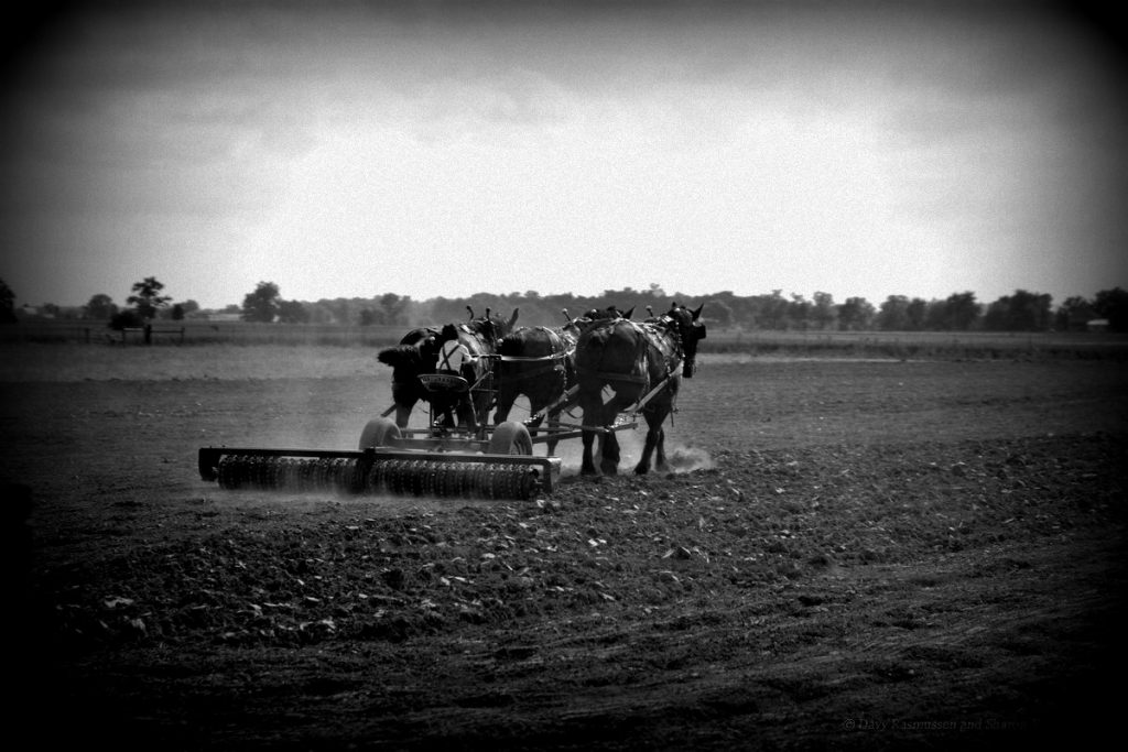 Goshen Indiana Amish Country 